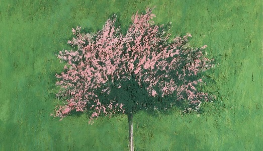 Carlo Mattioli e il labirinto